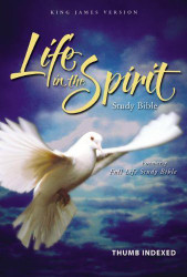 KJV Life in the Spirit Study Bible Indexed