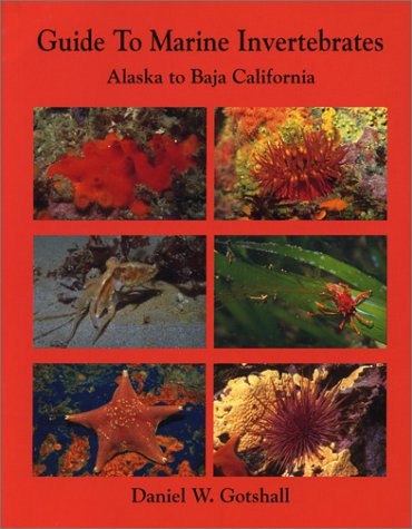 Guide to Marine Invertebrates