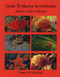 Guide to Marine Invertebrates