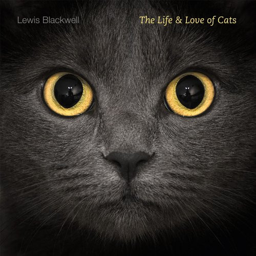 Life and Love of Cats