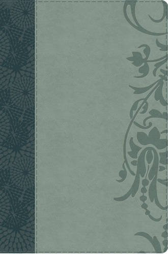 Study Bible for Women HCSB Large Print Edition Teal/Sage LeatherTouch