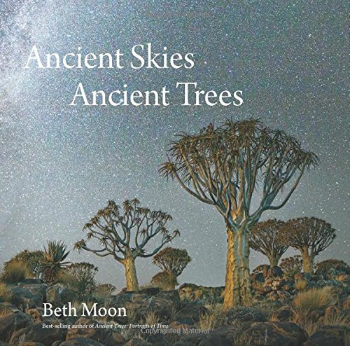 Ancient Skies Ancient Trees