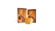 Twelve Women of the Bible Study Guide with Dvd