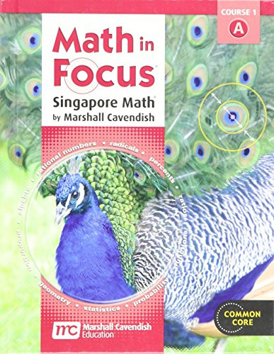 Math in Focus Singapore Math Grade 6 Volume A