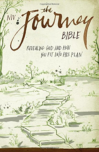 NIV The Journey Bible