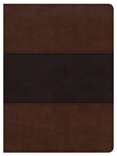 Csb Apologetics Study Bible Mahogany Leathertouch Indexed