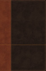 NIV Personal Size Reference Bible Large Print Leathersoft Tan/Brown