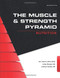 Muscle and Strength Pyramid