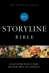 NIV Storyline Bible Hardcover Comfort Print