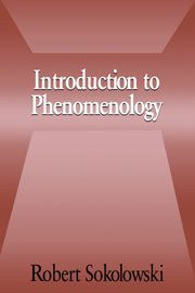 Introduction to Phenomenology