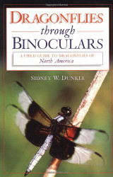 Dragonflies through Binoculars