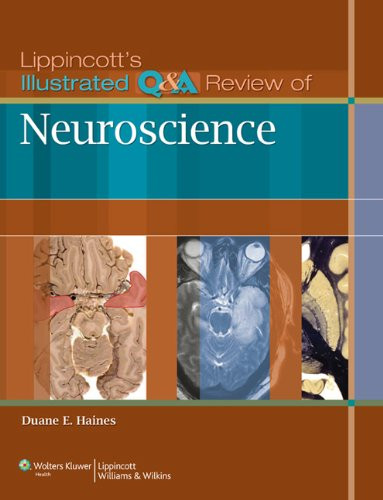 Lippincott's Illustrated Q&A Review of Neuroscience