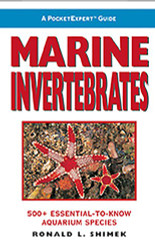 PocketExpert Guide to Marine Invertebrates
