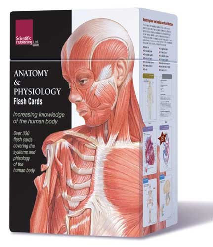 Anatomy and Physiology Flash Cards