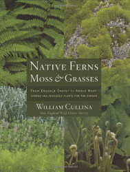 Native Ferns Moss and Grasses