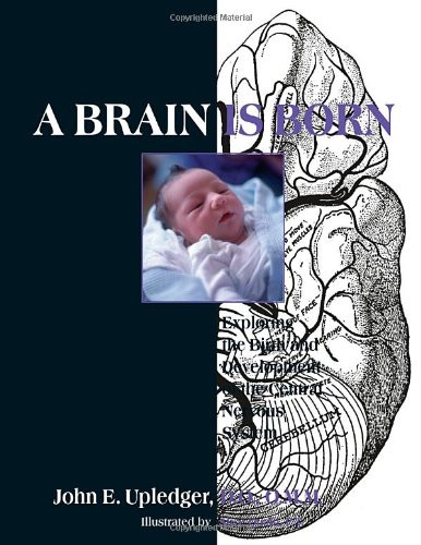 Brain Is Born