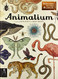 Animalium (Welcome to the Museum)