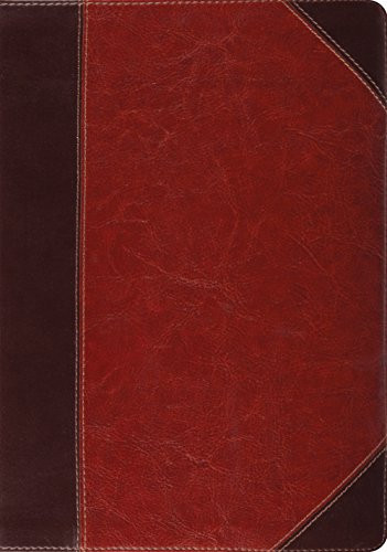 ESV Study Bible (TruTone Brown/Cordovan Portfolio Design)