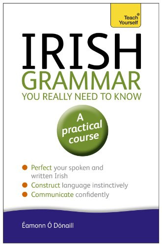 Irish Grammar You Really Need to Know (Teach Yourself)