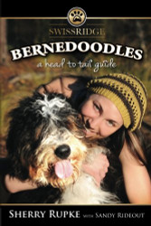 Bernedoodles: A Head to Tail Guide