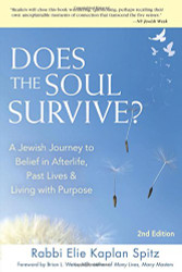 Does the Soul Survive?