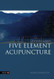 Simple Guide to Five Element Acupuncture