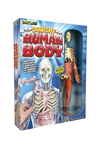 SmartLab Toys Squishy Human Body