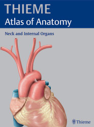 Thieme Atlas of Anatomy Neck An Internal Organs