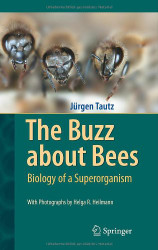 Buzz about Bees: Biology of a Superorganism