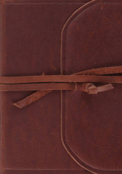 ESV Single Column Journaling Bible Large Print