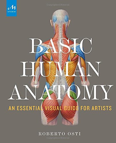 Basic Human Anatomy: An Essential Visual Guide for Artists