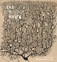 Beautiful Brain: The Drawings of Santiago Ramon y Cajal