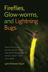 Fireflies Glow-worms and Lightning Bugs