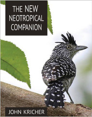 New Neotropical Companion