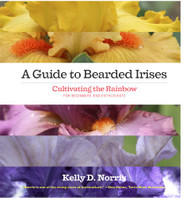 Guide to Bearded Irises