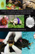 Health Care and Rehabilitation of Turtles and Tortoises