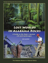 Lost Worlds in Alabama Rocks