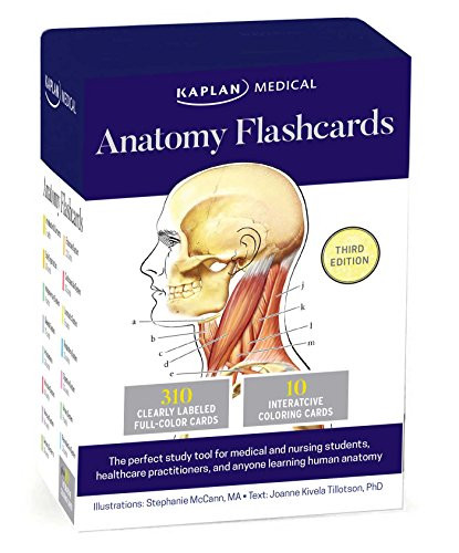 Anatomy Flashcards
