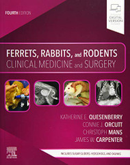 Ferrets Rabbits and Rodents  by Katherine Quesenberry