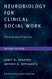 Neurobiology For Clinical Social Work: Theory and Practice