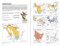 National Geographic Field Guide to the Birds of North America