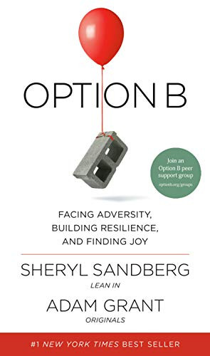 Option B: Facing Adversity Building Resilience and Finding Joy