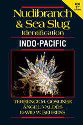 Nudibranch and Sea Slug Identification - Indo-Pacific