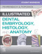 Student Workbook for Illustrated Dental Embryology Histology and Anatomy