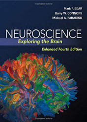 Neuroscience: Exploring the Brain Enhanced Edition