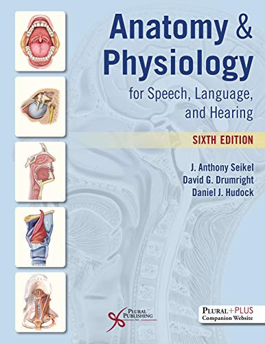 Anatomy And Physiology For Speech Language And Hearing