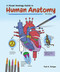 Visual Analogy Guide to Human Anatomy
