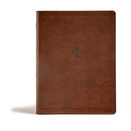 CSB Life Connections Study Bible Brown LeatherTouch