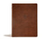 CSB Life Connections Study Bible Brown LeatherTouch