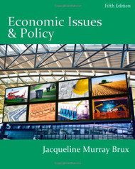 Economic Issues And Policy